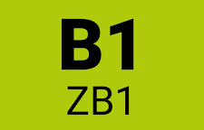 German Exam Nepal logo for B1 German language CEFR classes and exams in India.
